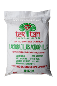 LACTOBACILLUS ACIDOPHILUS