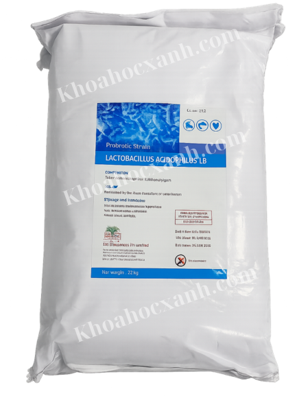 Thiết kế chưa có tên (9)