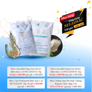 Siêu khuyến mãi trong Tháng 6 và Tháng 7