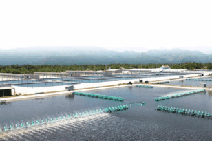 Nguyên Liệu Thủy Sản