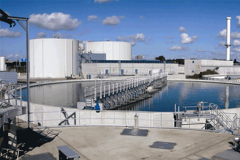 Xử lý môi trường