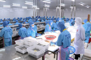 che bien tom, xuat khau thuy san