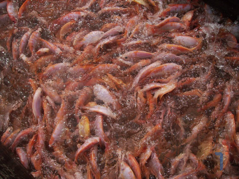 cá điêu hồng, nuôi tôm, chế phẩm sinh học