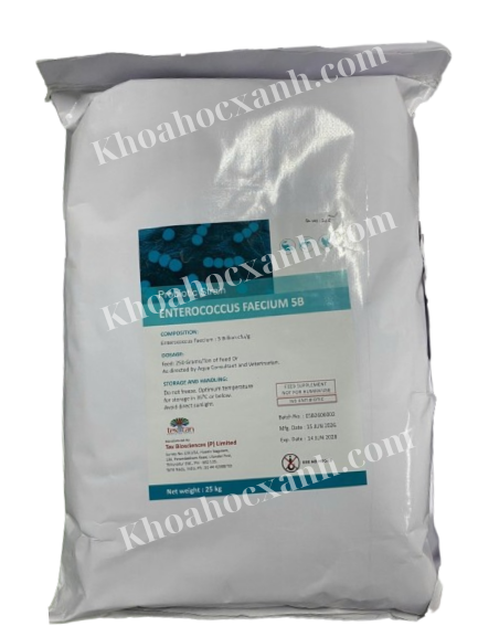 Thiết kế chưa có tên (7)
