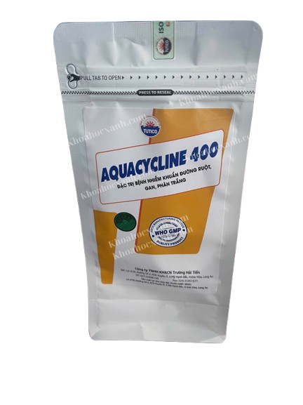 HÌNH_WEB_KHX__10_-removebg-preview