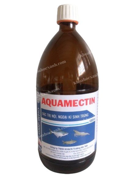 HÌNH_WEB_KHX__5_-removebg-preview (1)