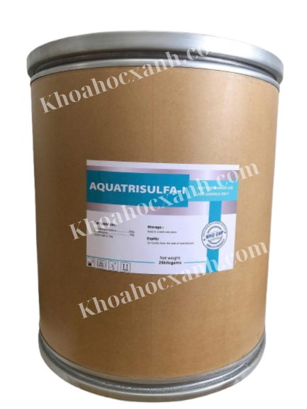 Thiết kế chưa có tên (6)