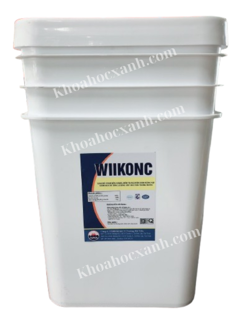 HÌNH WEB KHX (5)