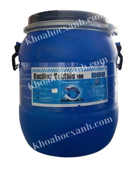 Thiết kế chưa có tên (19)